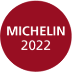 michelin-rib